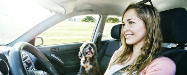 小灯起雾用什么方法解决