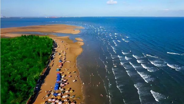 g228国道起点到终点共多少公里