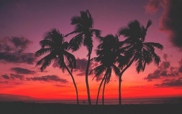 美国经济最强的十个州