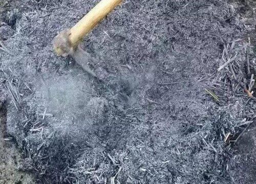 稻草灰可以做肥料吗