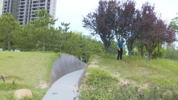 小白虫像灰尘是什么虫