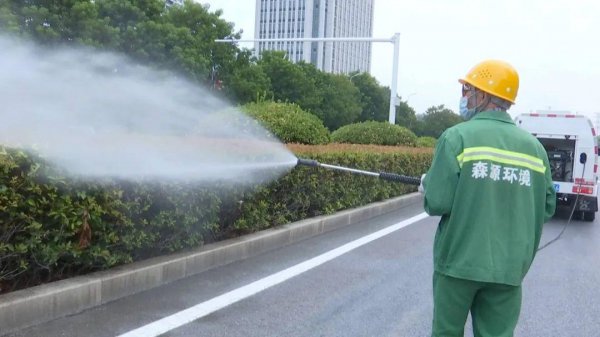 小白虫像灰尘是什么虫