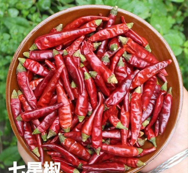 干辣椒的种类及特点介绍