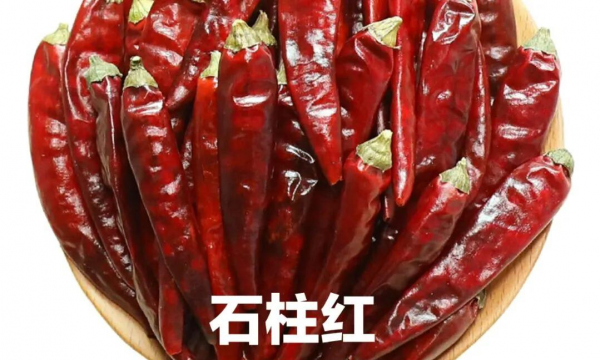 干辣椒的种类及特点介绍