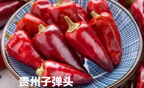 干辣椒的种类及特点介绍