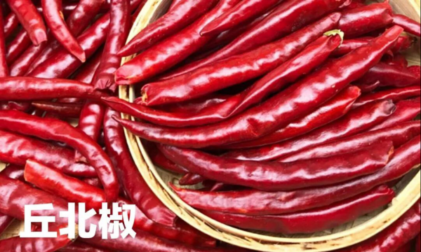 干辣椒的种类及特点介绍