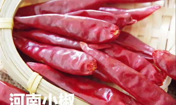 干辣椒的种类及特点介绍
