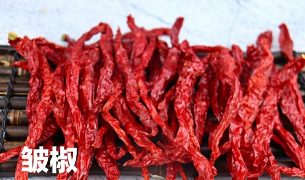 干辣椒的种类及特点介绍