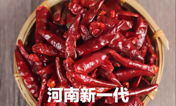 干辣椒的种类及特点介绍