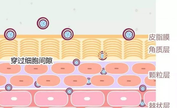 先水后乳和先乳后水的区别