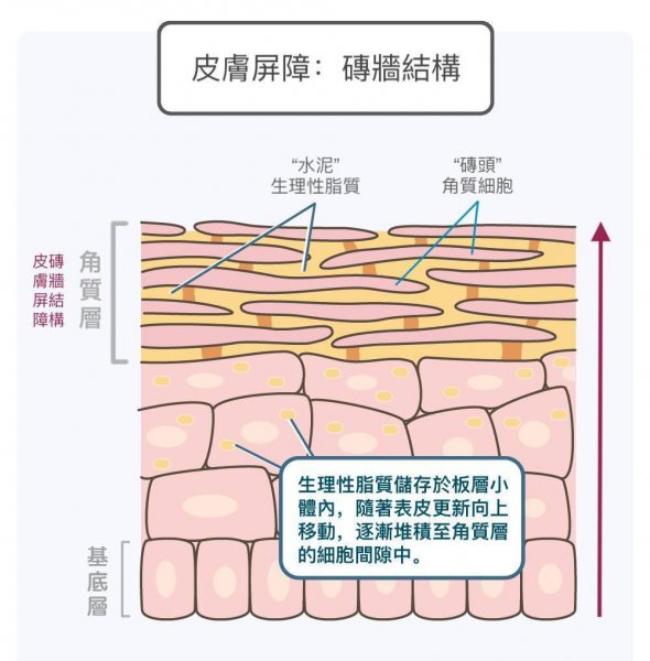 先水后乳和先乳后水的区别