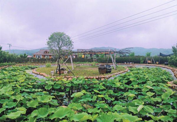 六盘水是哪个省的地方