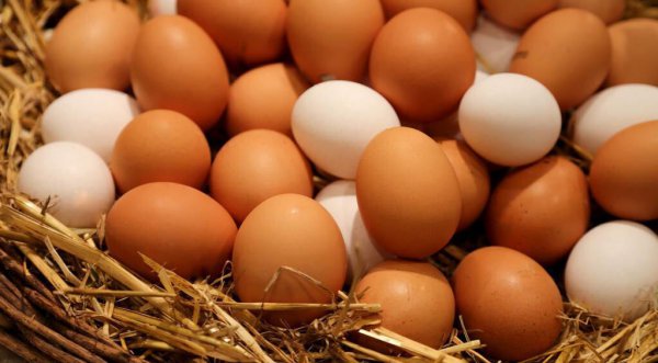 过期食品吃了会怎么样