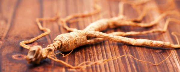 玄参有什么功效