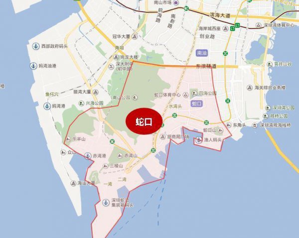 蛇口属于深圳什么区