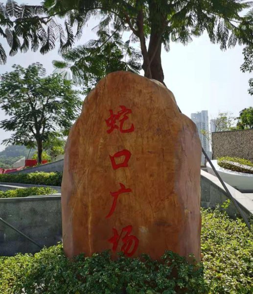 蛇口属于深圳什么区