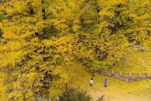 嵩县旅游景点排名