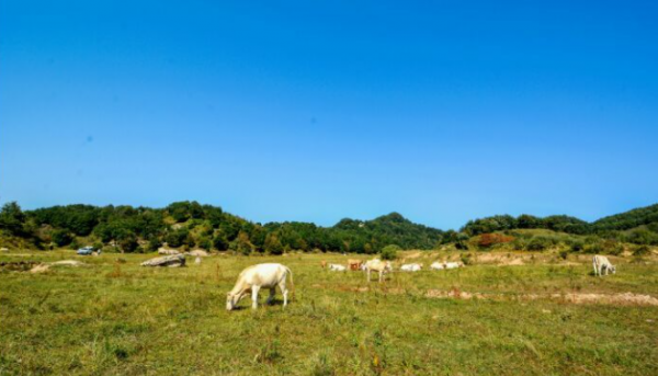 嵩县旅游景点排名