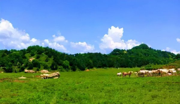 嵩县旅游景点排名