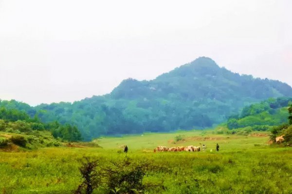 嵩县旅游景点排名