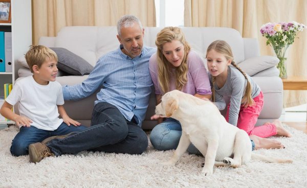 地毯可以用洗衣机洗吗