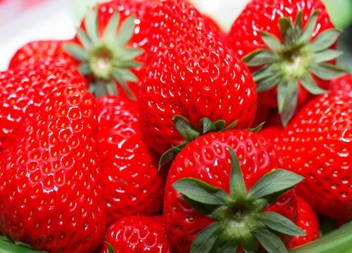 种草莓用什么肥料好