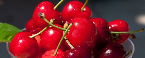 樱桃怎么保鲜效果最好