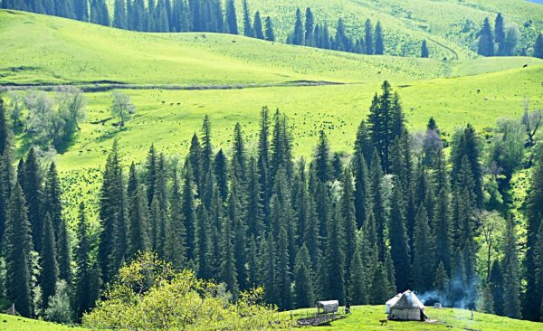 新疆的气候类型和气候特征