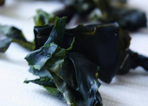 紫菜是裙带菜吗