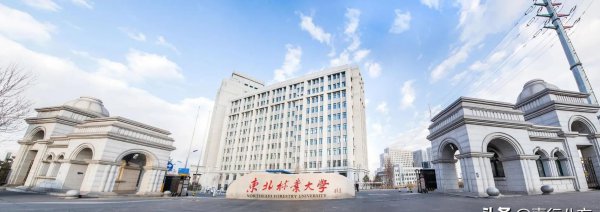 黑龙江的大学排名及分数线