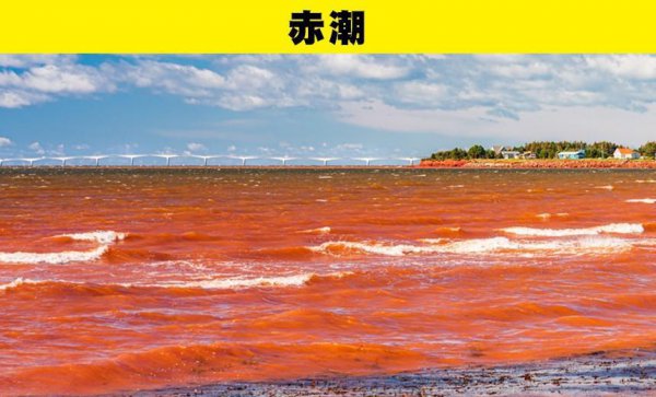 奇妙的自然现象有哪些