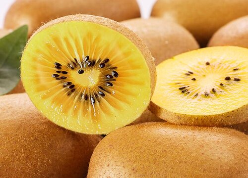 猕猴桃适合种植在海拔多少米