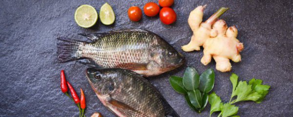 如何做鲤鱼好吃又简单