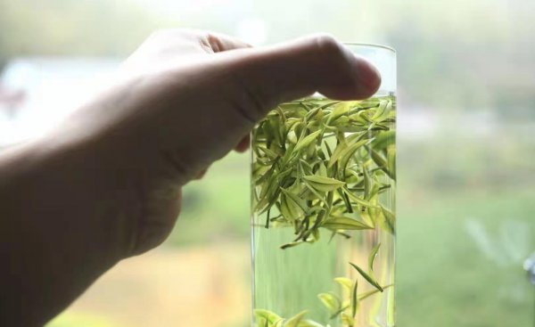 六大类成品茶的分类依据是什么