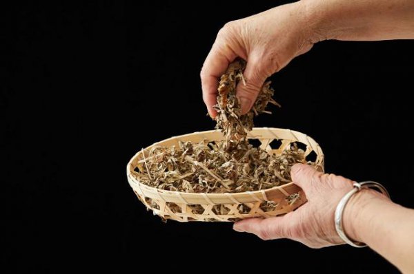 艾草怎么晒干怎么保存不会坏