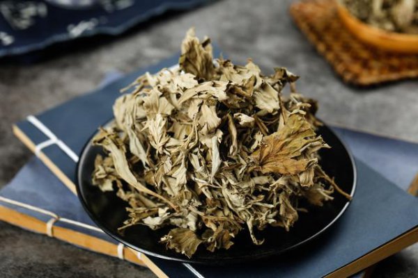 艾草怎么晒干怎么保存不会坏