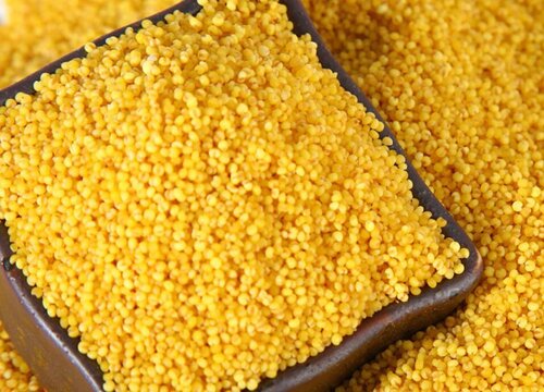 小米是热性还是凉性