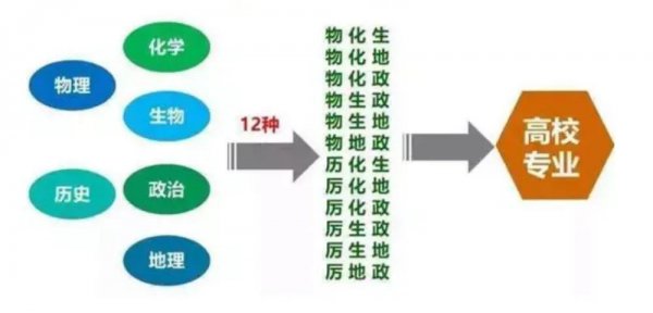 新高考物生地组合的优缺点
