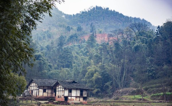 四川宜宾是几线城市