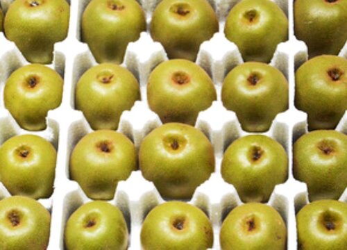 奇异果是热性还是凉性