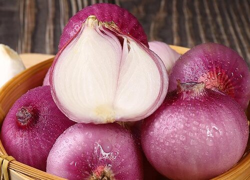 白洋葱和紫洋葱的区别联系