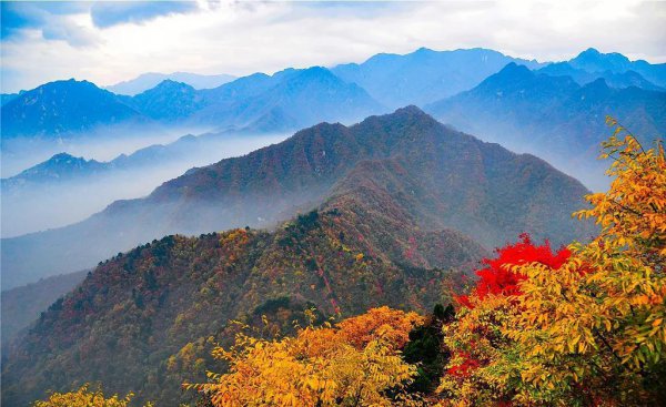 秦岭海拔最高多少米