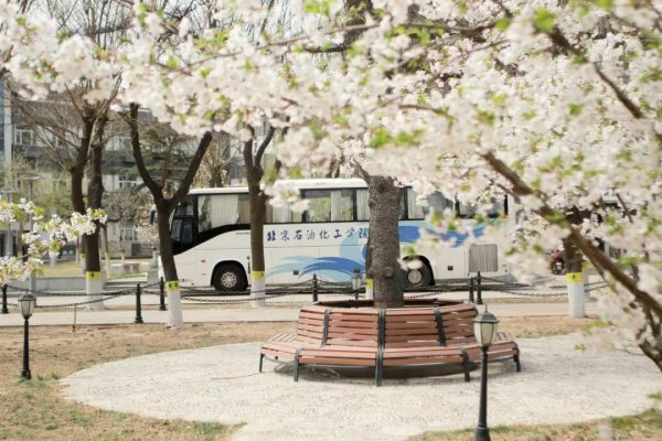 北京石油化工学院排名