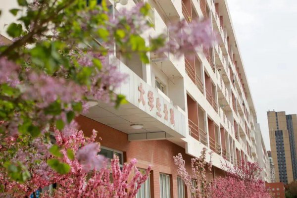 北京石油化工学院排名