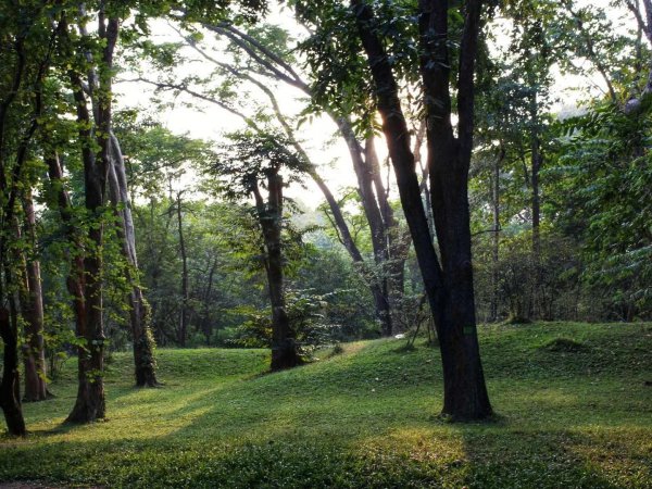 广州网红打卡景点大全排名榜
