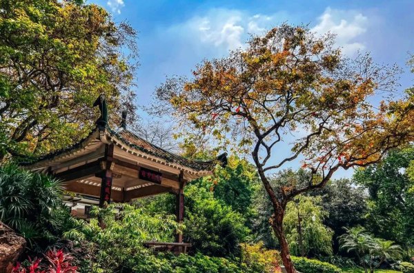 广州网红打卡景点大全排名榜