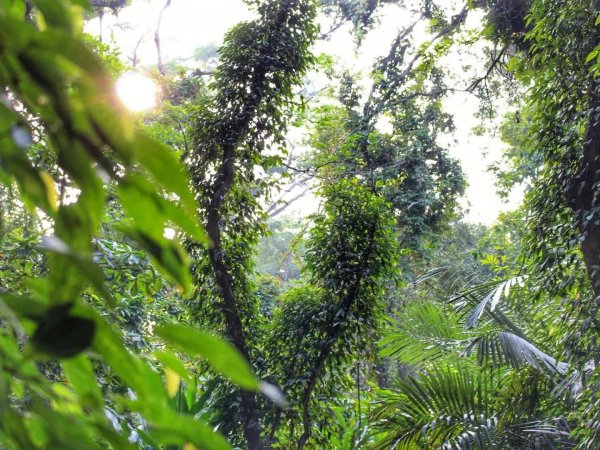 广州网红打卡景点大全排名榜