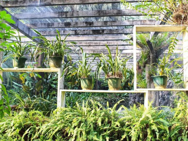 广州网红打卡景点大全排名榜