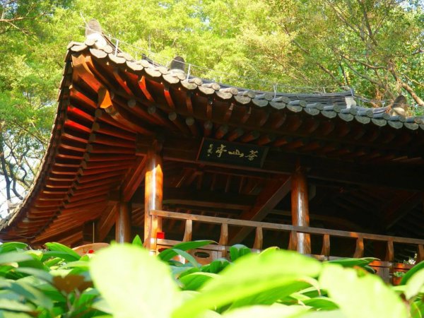 广州网红打卡景点大全排名榜