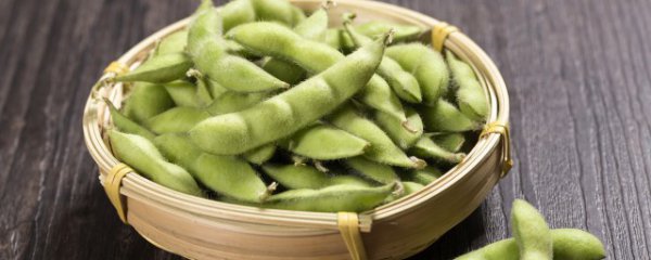 扁豆种植方法和注意事项